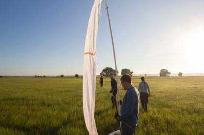 people working in a grassy field at surise